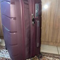 چمدان|کیف، کفش، کمربند|تهران, استاد معین|دیوار