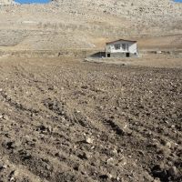 فروش-یه-قطعه-زمین-کشاورزی