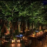 اجاره-باغ-رستوران-آماده-و-طلا-در-قلب-کاسبی-ایران