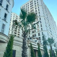 رویای زندگی مدرن/رونیکا پالاس کوهک/حاج رحیم قربانی|فروش آپارتمان|تهران, هوانیروز|دیوار