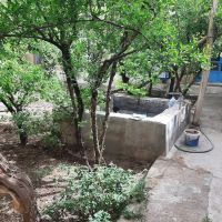 خانه-باغ
