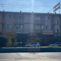 دفتر-تجاری-بر-اصلی