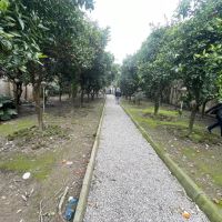 فروش-ویلا-باغ-1400-متری-ساحلی