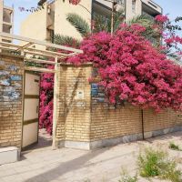 خانه-ویلای-در-خیابان-ارس-فرهنگ-شهر