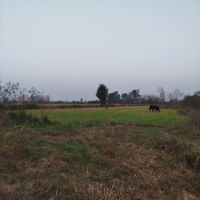 زمین-مسکونی-مساحت-230متر