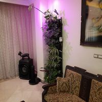 تولید و اجرای دیوار سبز طبیعی green wall|گل و گیاه طبیعی|تهران, تهران‌سر|دیوار