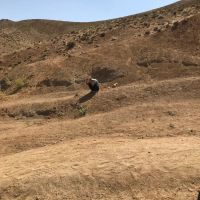 2200متر-زمین-خالی-فیروزکوه-سند-دار