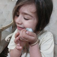 همستر|موش و خرگوش|تبریز, |دیوار