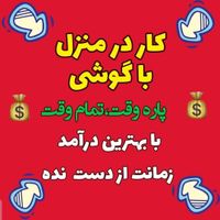 کارباگوشی/کاردرمنزل/کاراینترنتی/دورکاری|استخدام رایانه و فناوری اطلاعات|تهران, جردن|دیوار