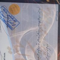 سیتروئن زانتیا 2000cc، مدل ۱۳۸۶ بیرنگ استثنایی|خودرو سواری و وانت|تهران, دهکده المپیک|دیوار