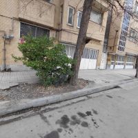 دوقطعه125متری-کنارهم-250مترجنوبی-امام-رضا53معبر20