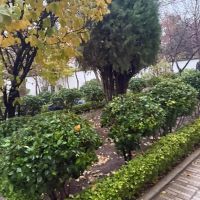 اجاره-ویلای-135متر2خواب-ط-اول-فاز-4شهرک