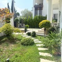 زمین-500-متر-سند-دار-دهنو-مناسب-آپارتمان-سازی