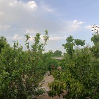 باغچه