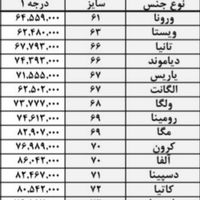 ۱۲%تخفیف نمایندگی توالت فرنگی مرواریدطبق لیست بالا|لوازم سرویس بهداشتی|تهران, ابراهیم‌آباد|دیوار