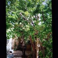 خونه-ویلایی-در-روستای-جودانه