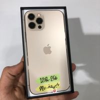 iphone 12 pro gold|موبایل|تهران, بریانک|دیوار