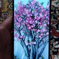 شیائومی poco m6 4g با حافظهٔ ۲۵۶ گیگابایت|موبایل|تهران, شهرک کیانشهر|دیوار