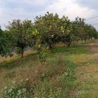 فضای-مناسب-جهت-ماساژور