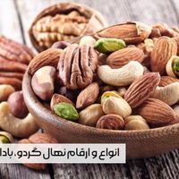 خرید مستقیم نهال از تولیدکننده، بدون واسطه|خدمات باغبانی و درختکاری|ارجمند, |دیوار