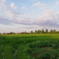 فروش-زمین-ششدانگ-در-حومه-ی-بابل