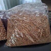 حبوبات درجه یک|خوردنی و آشامیدنی|تهران, شهرک تختی|دیوار