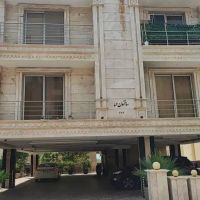 صدف-دید-دریا