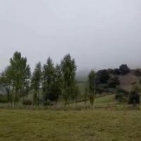 زمین باغی|فروش زمین و ملک کلنگی|کرج, هفت تیر|دیوار