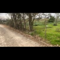 زمین-ویلایی-بسیار-زیبا