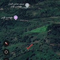 فروش-3000مترمربع-باغ-چای-دراملش