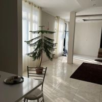 ویلا-باغ-در-منطقه-کمال-اسماعیلی-آلاچیق-اختصاصی