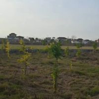 190-متر-زمین-انشعابات-کامل-سند-تک-برگ-شهرکی