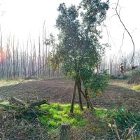 500متر-زمین-در-تره