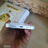 اپل iPhone 13 ۱۲۸ گیگابایت|موبایل|تهران, شاهد|دیوار