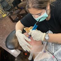 مدل نیازمندیم|خدمات آرایشگری و زیبایی|تهران, دانشگاه علم و صنعت|دیوار