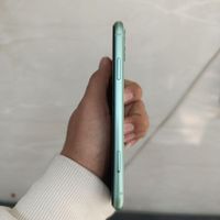 iPhone11|موبایل|تهران, شمیران‌نو|دیوار