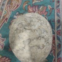 سنگ جواهری|جواهرات|تهران, استاد معین|دیوار