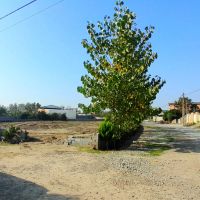 فروش-زمین-مسکونی-220-متری-دونبش-در-بابل