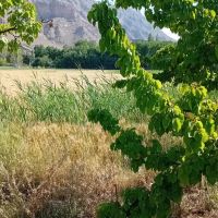 باغ-نرند-روستای-آستانه