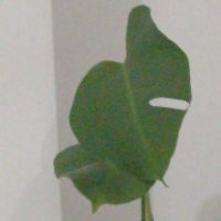 فروش-مغازه-تجاری-صفادشت