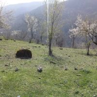 زمین-مسکونی-ییلاق-زیبا-نوده