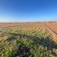 فروش زمین ۲۰۷۵ متری در روستای کوه بنه لاهیجان|فروش زمین و ملک کلنگی|لاهیجان, |دیوار