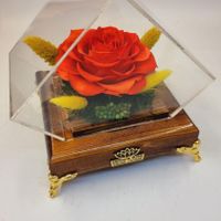 باکس چوبی گل رز جاودان  همراه گل سایز بزرگ طرح یاس|گل و گیاه طبیعی|تهران, میدان ولیعصر|دیوار