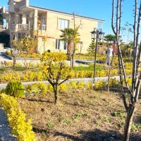 ویلاکاخ-1000متری-فول-امکانات-بااستخر-حرفه-ی