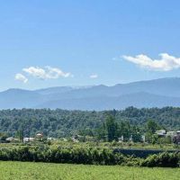 فرصت-طلایی-خرید-پر-سود-ازدست-نده-دوقدمی-جنگل