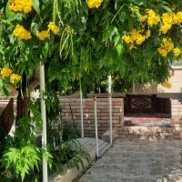 باغ-ویلا-اجاره-ای-برای-دورهمی-ها-ومراسمات-کوچک