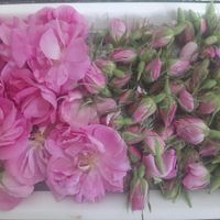 فروش خانه ویلایی|فروش خانه و ویلا|سمیرم, |دیوار