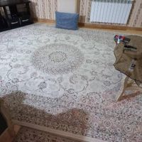 فرش|فرش|تهران, استاد معین|دیوار