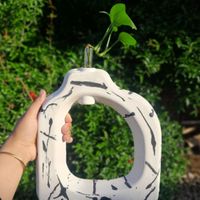 گلدان دکوری|صنایع دستی و سایر لوازم تزئینی|آق قلا, |دیوار