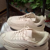 کتونی گنده و قشنگ|کیف، کفش، کمربند|قم, بنیاد|دیوار